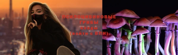 стафф Богданович