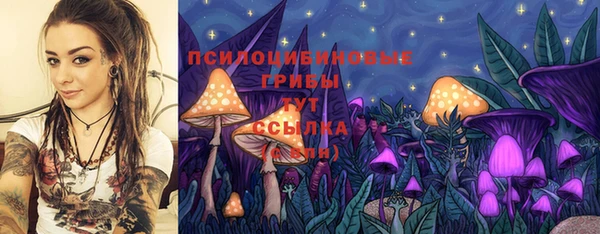 ALPHA-PVP Богородицк