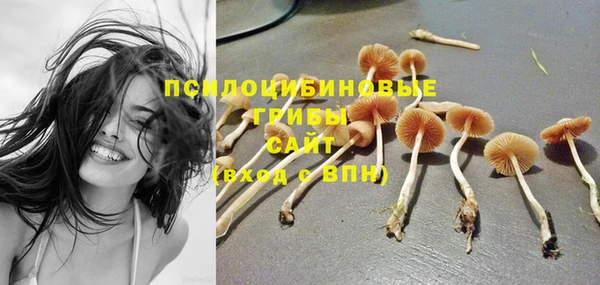 стафф Богданович