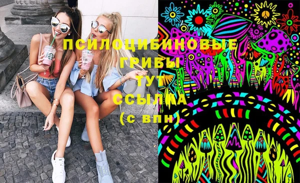 стафф Богданович