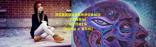 стафф Богданович