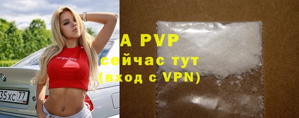 стафф Богданович