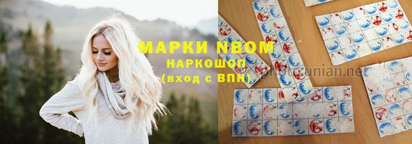 стафф Богданович